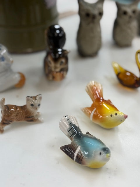 A whole lot of Small Animals