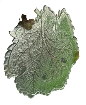 Indiana Glass Pebble Leaf Green glass Dish