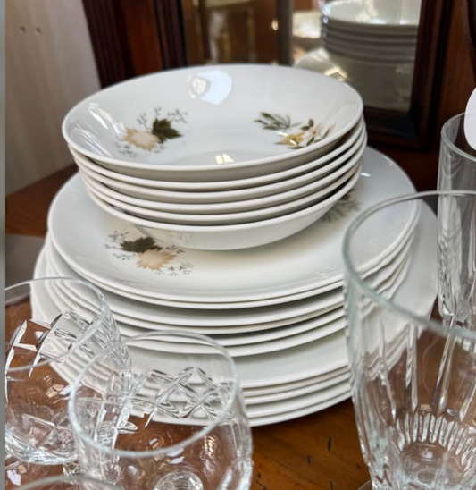 Royal Doulton Translucent Westwood Dinner Set
